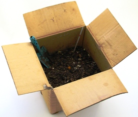 cardboardcompost