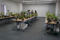 文協祭文芸・技芸・趣味展