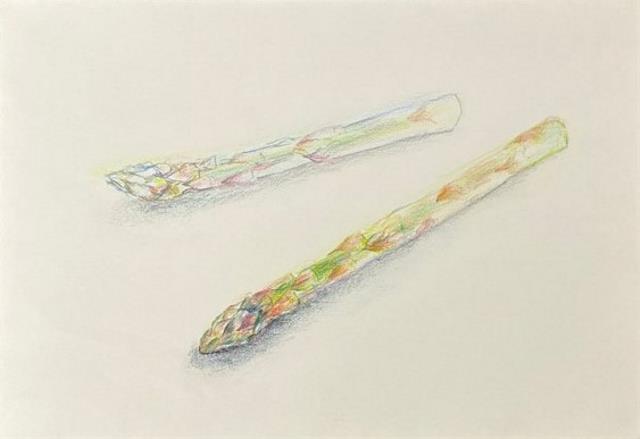 北部デッサン前期