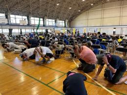 シェイクアウト画像