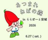 あつねばサルビー