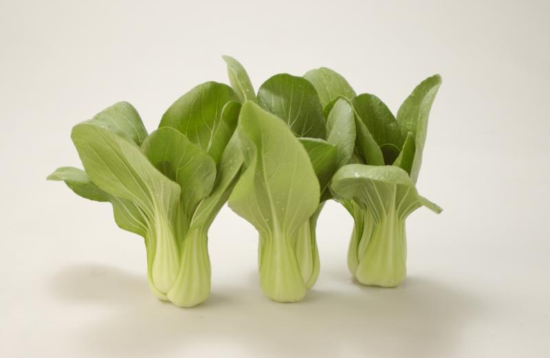 bokchoi