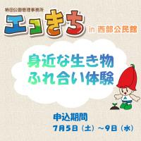 エコきちトプ画