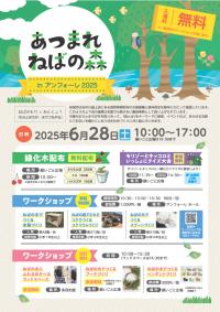 flyeromote
