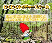 wakuwakunature