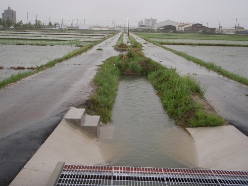 大雨時の様子