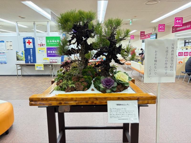 202601農林高校正月かざり