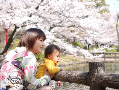 120410安城公園の桜