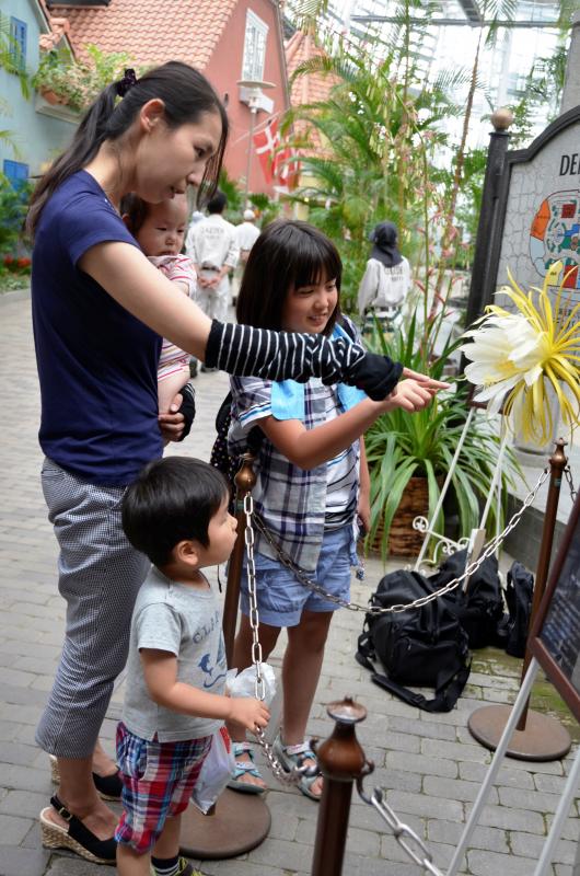 安城市 花を咲かせた 夜の女王 6月10日