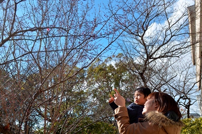 140204春を見つけたよ1