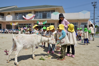 140423移動動物園東栄幼稚園