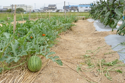 140604アグリライフ支援センター