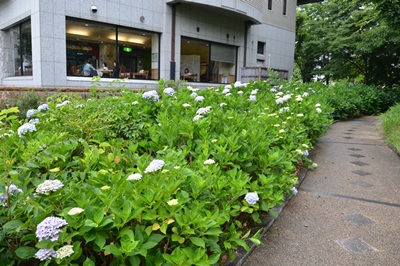 140611歴史博物館