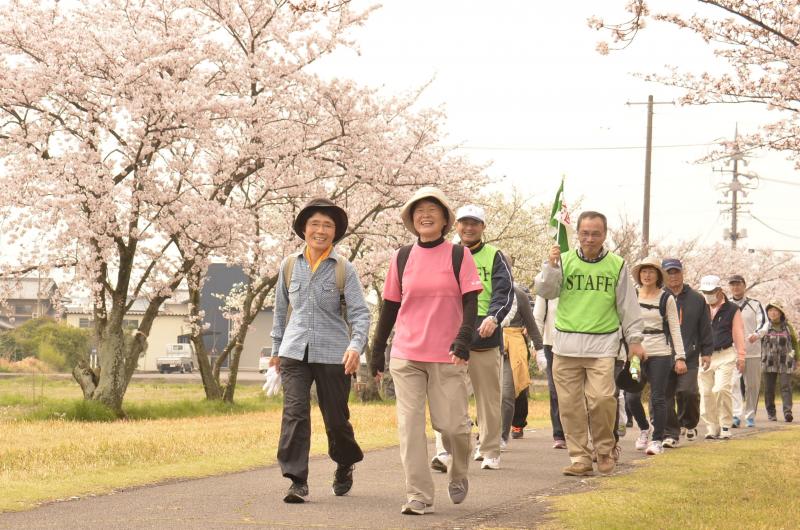 160404桜を見ながら歩こう