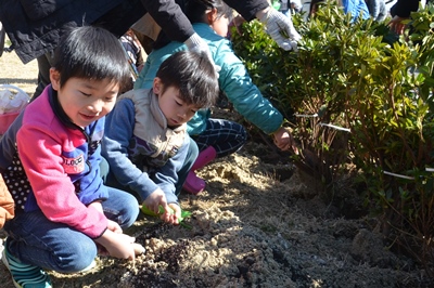 170225木戸東公園植樹祭