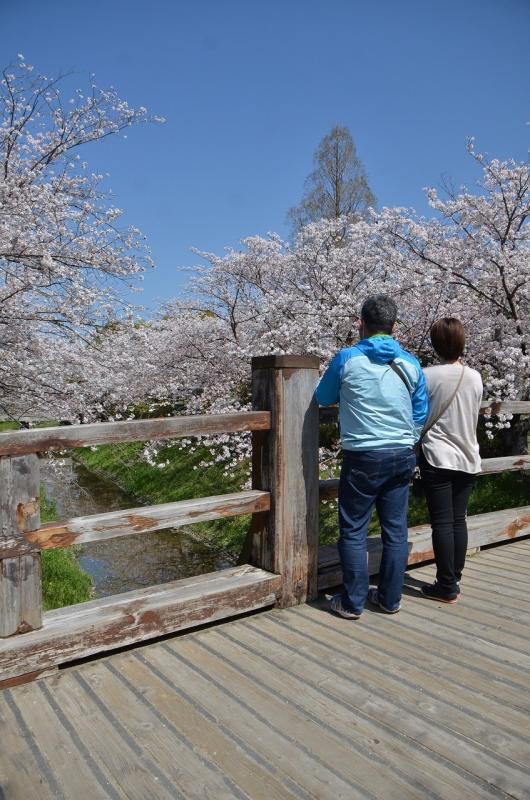 堀内公園2