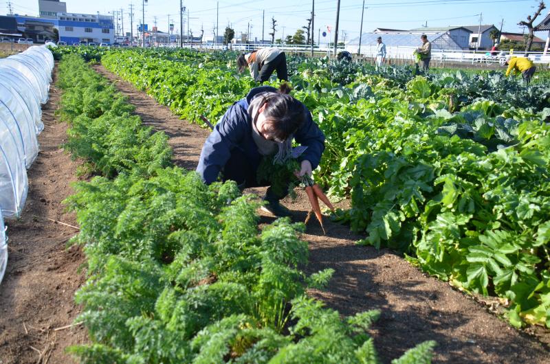 251126yasaishuukaku1