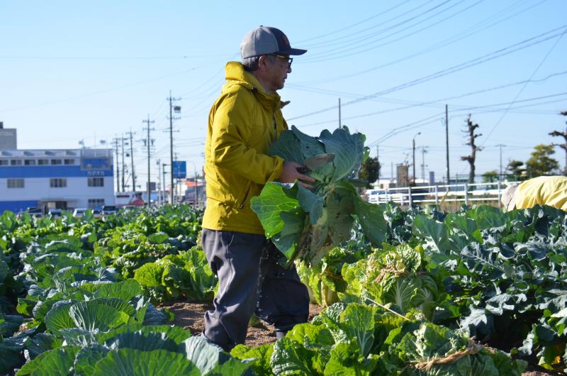 251126yasaishuukaku2