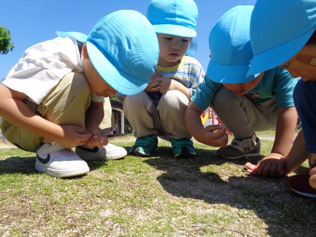 jogairikodomo遊び1