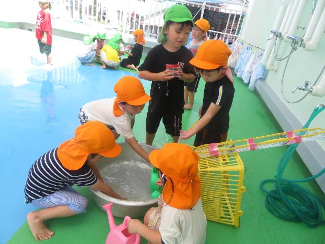 水遊びほし組高こ