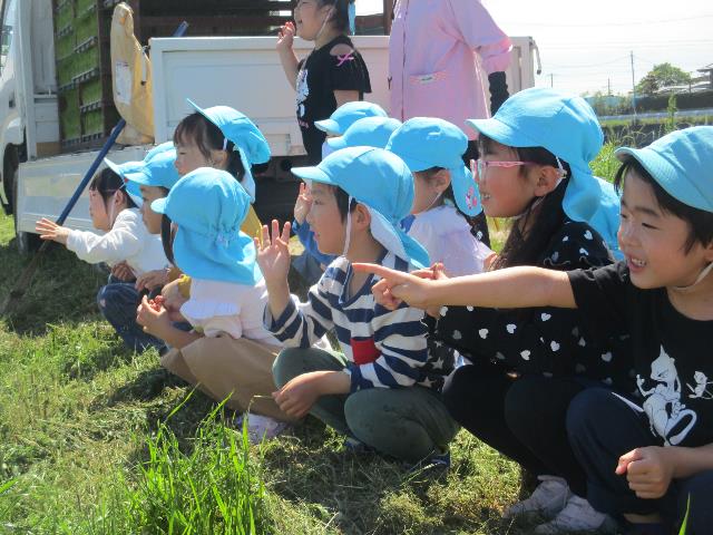 みつこ田植え長がんばれ