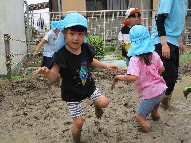 みつこ代かき中