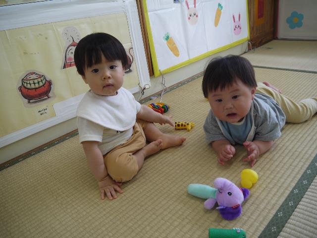さくら保0歳