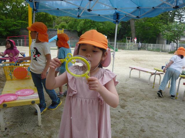 えのこシャボン玉実験