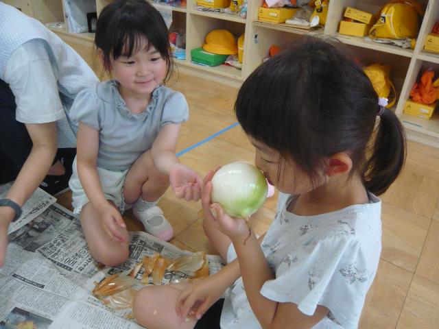 えのこ　タマネギ