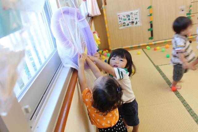 錦保みかん