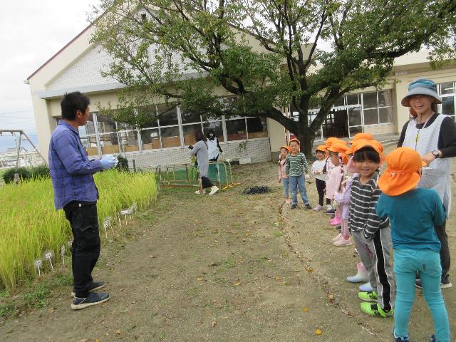みつこ稲刈り地域の方