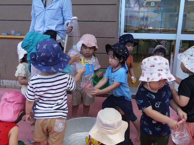 さくら保水３