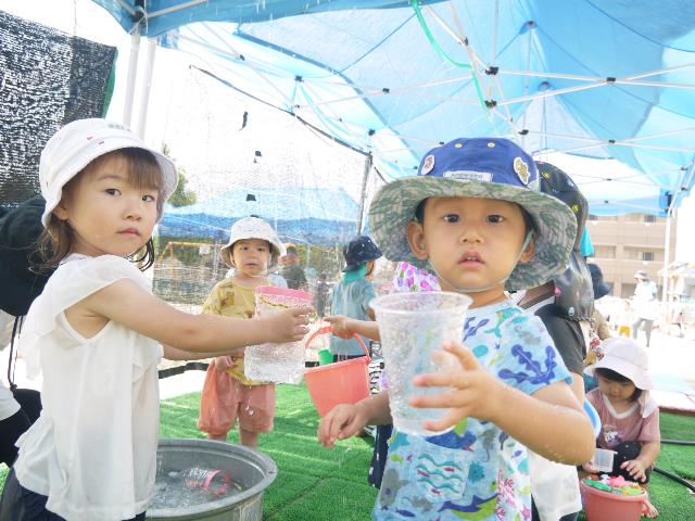 さくら保２歳みず