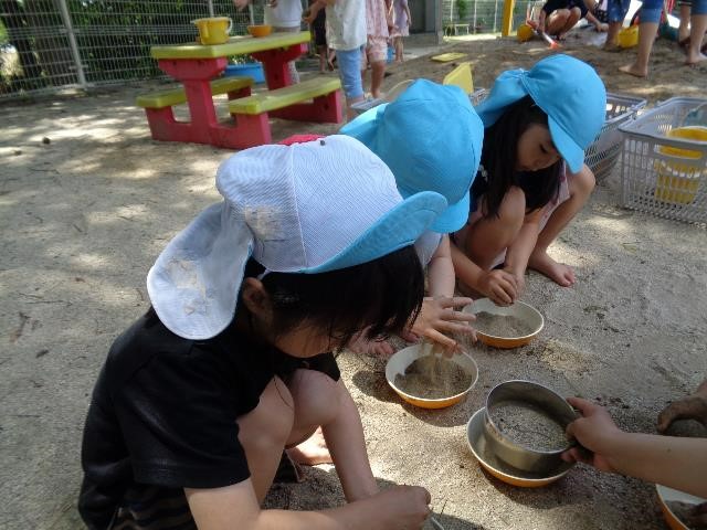 えのきこども園泥団子ぶどう
