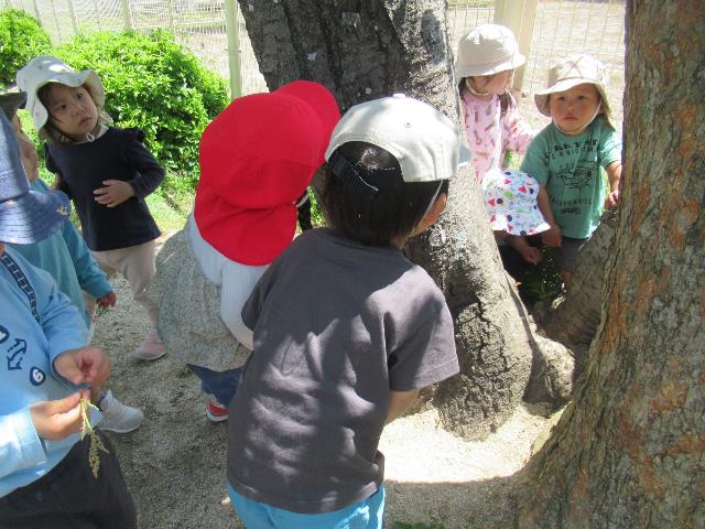 5nishi17