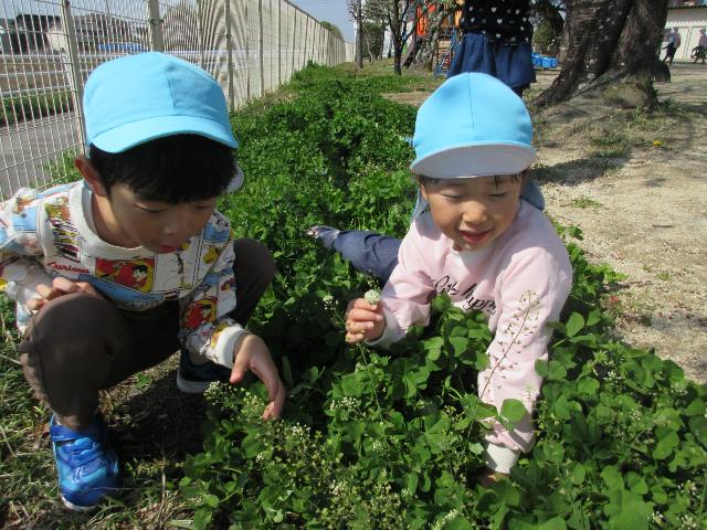 自然みつこ