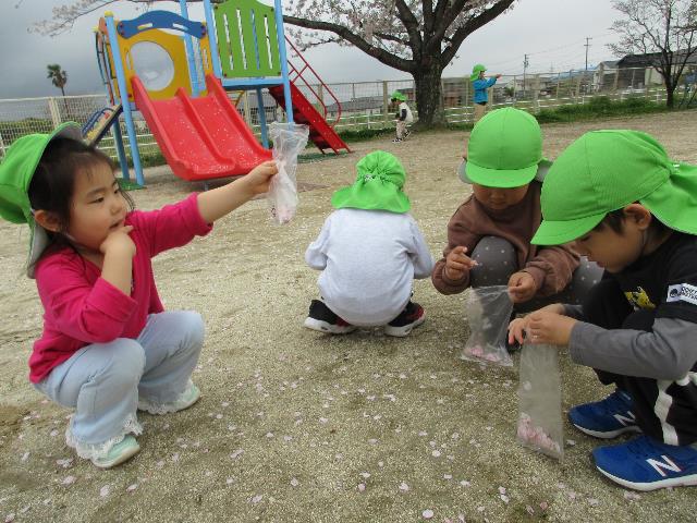 さくらみつこ