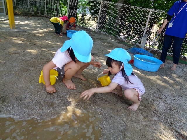えのきこども園砂場ぶどう