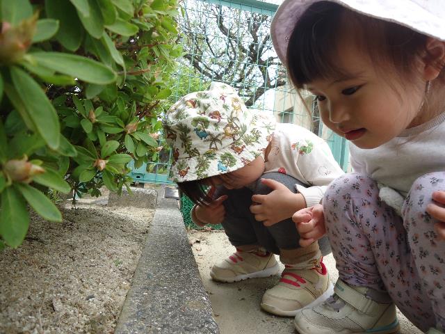 作野あり