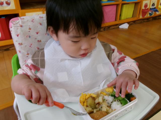 作野こっこ弁当