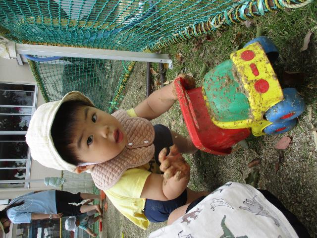 作野だるま