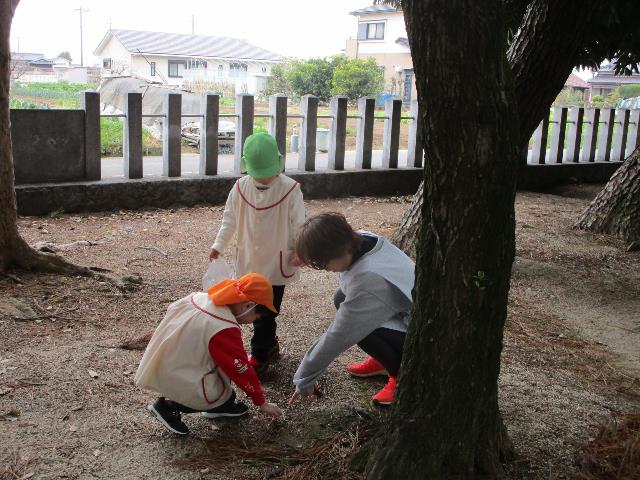 どんぐり城ケ入