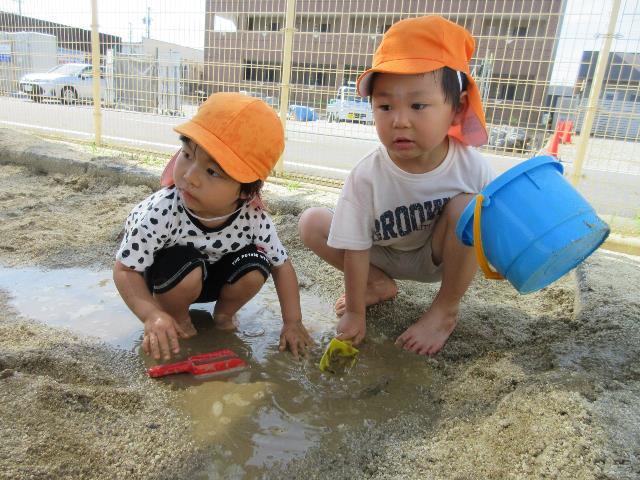 さくら保泥１