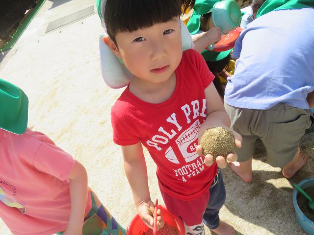 安城保幼児5