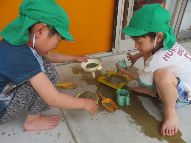 安城保幼児7