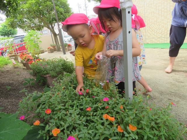 安保幼児水遊び6