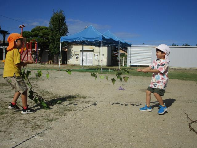 城ケ入イモヅル