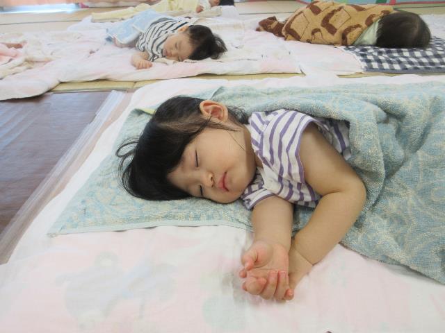 さくら保昼寝１