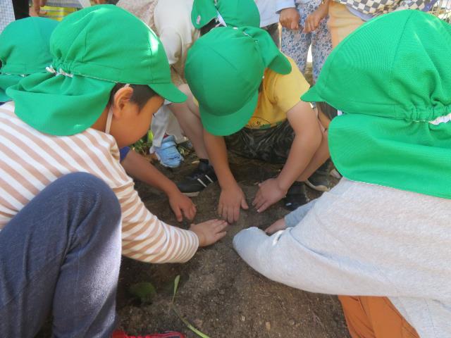 安保秋の戸外遊び7