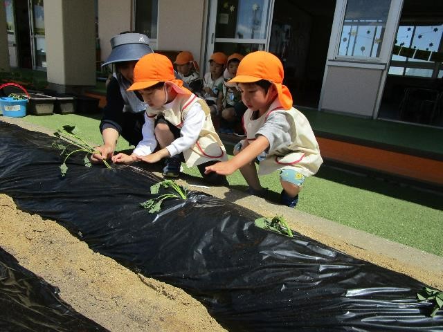 城ケ入13